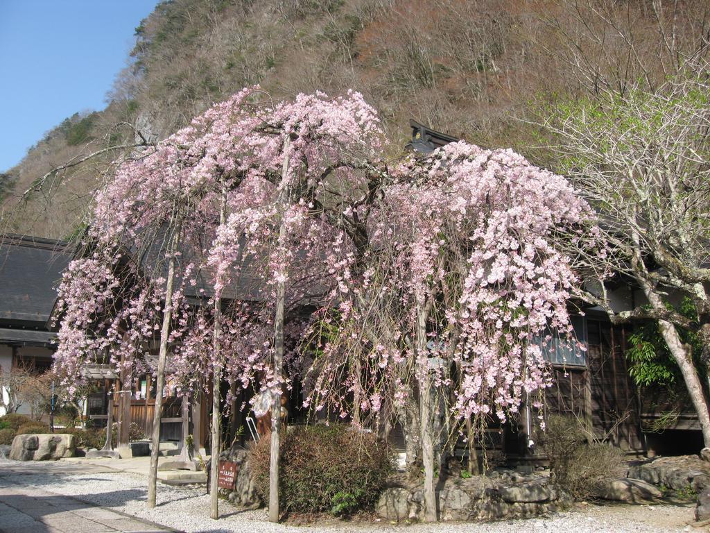 Masugen Ryokan Tenkawa Exterior foto